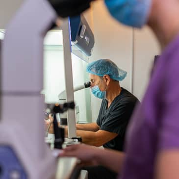 Slider image (2) PROFERT Santo Domingo